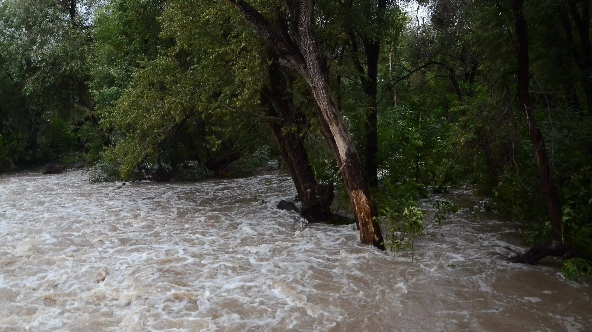 Llaman a la población a estar alerta por creciente de río San Juan. Foto Jacob Cabello